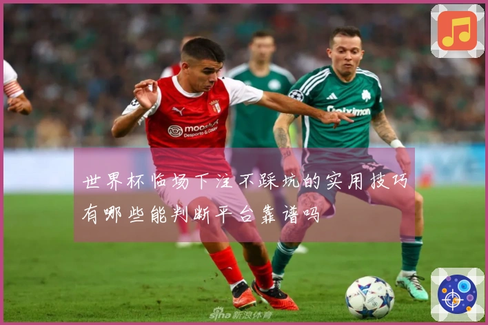 世界杯临场下注不踩坑的实用技巧有哪些能判断平台靠谱吗